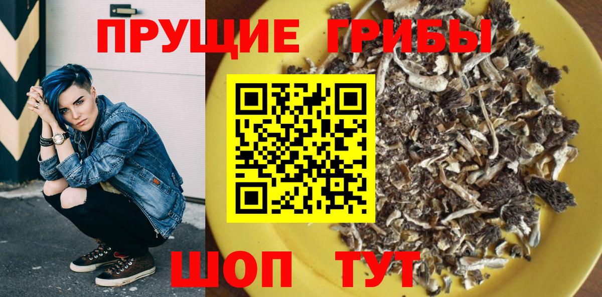 Псилоцибиновые грибы Cubensis Выборг
