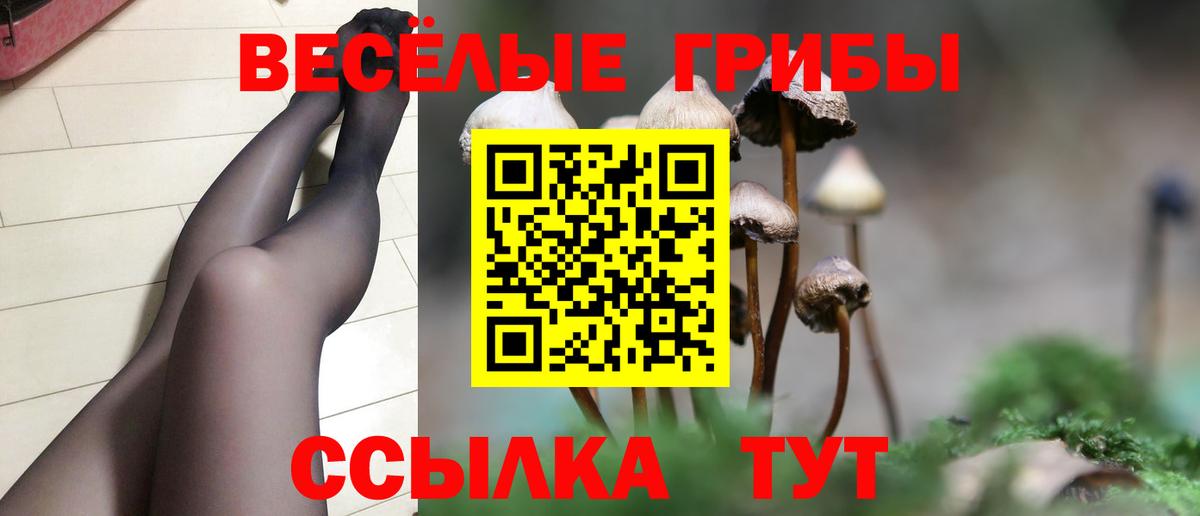 Выборг  как найти закладки  Вход с VPN  Галлюциногенные грибы прущие грибы  Галлюциногенные грибы Psilocybe 